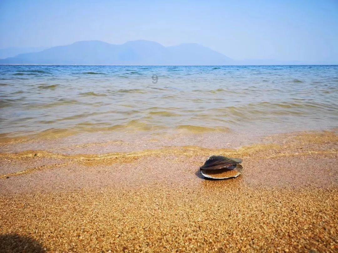 海底世界填颜色5
